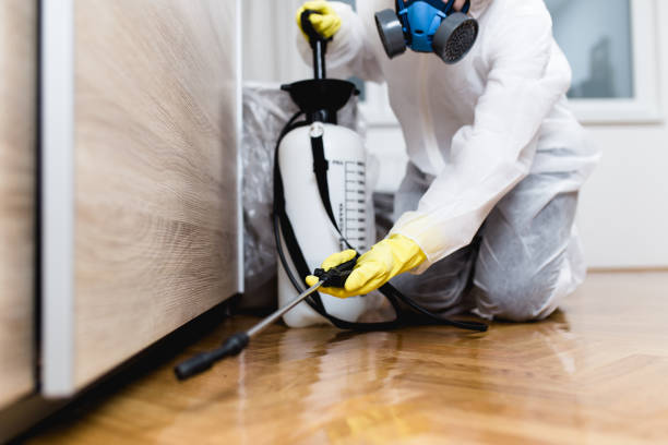 Reliable Carrier Mills, IL Pest Control Solutions