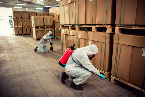 Best Termite Control Services  in Carrier Mls, IL