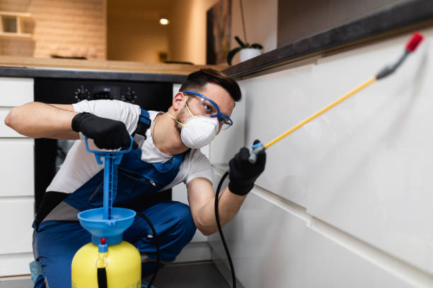 Best Cockroach Control Services  in Carrier Mls, IL