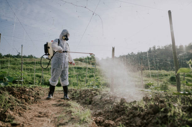 Best Mosquito Control Services  in Carrier Mls, IL