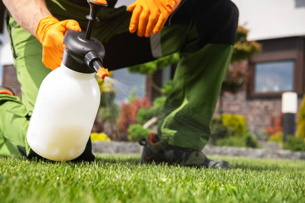 Best Wasp Removal Services  in Carrier Mls, IL
