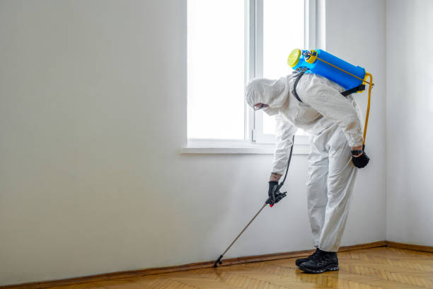 Best Commercial Pest Control Services  in Carrier Mls, IL