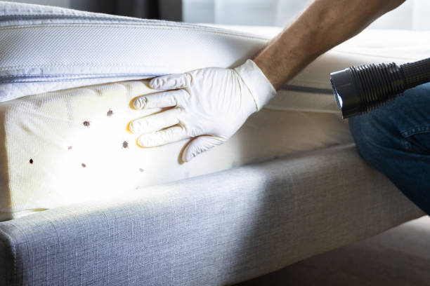  Carrier Mls, IL Pest Control Pros