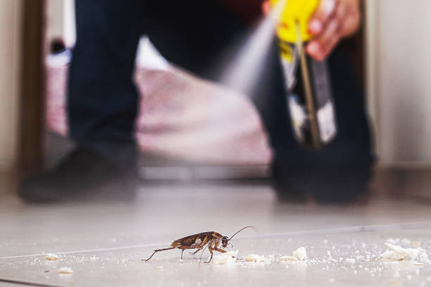 Best Pest Inspection Near Me  in Carrier Mls, IL