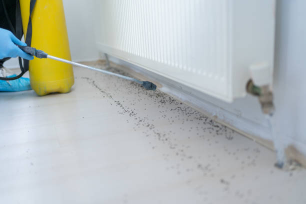 Best Local Pest Control Services  in Carrier Mls, IL