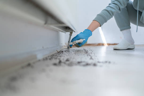 Best Cockroach Control Services  in Carrier Mls, IL