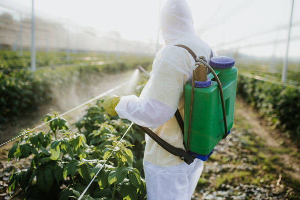 Best Exterminator Services  in Carrier Mls, IL